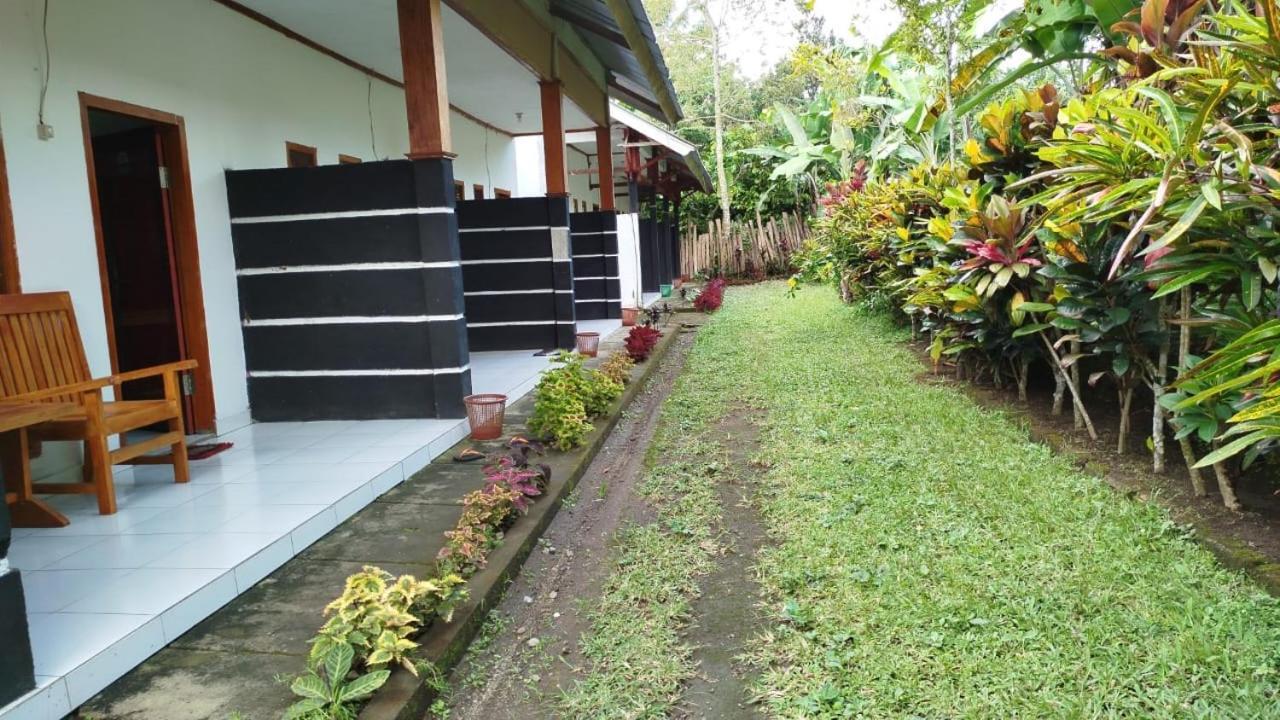 Tatasya Homestay Senaru Exterior foto